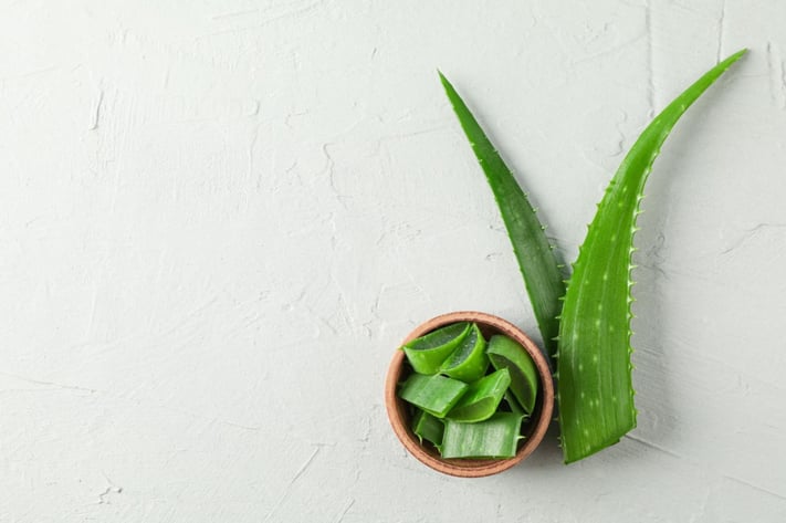 aloe vera leaves and slices representing calming botanical ingredients for rosacea prone skin